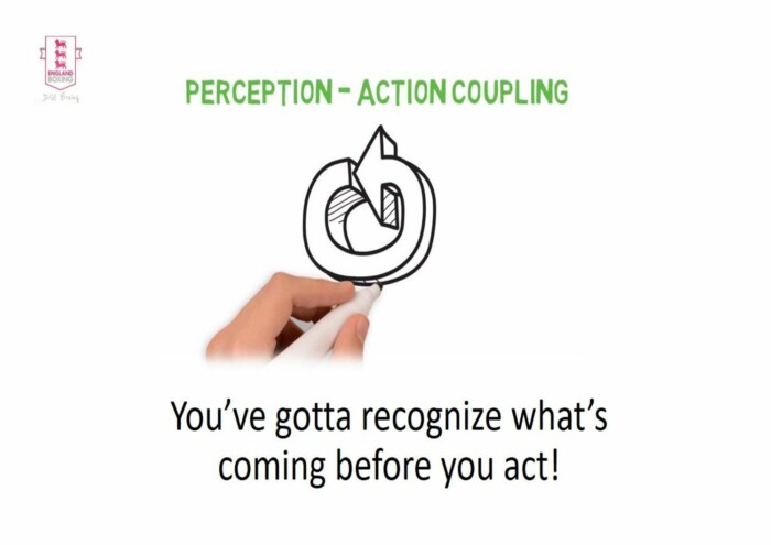 Perception/Action Game
